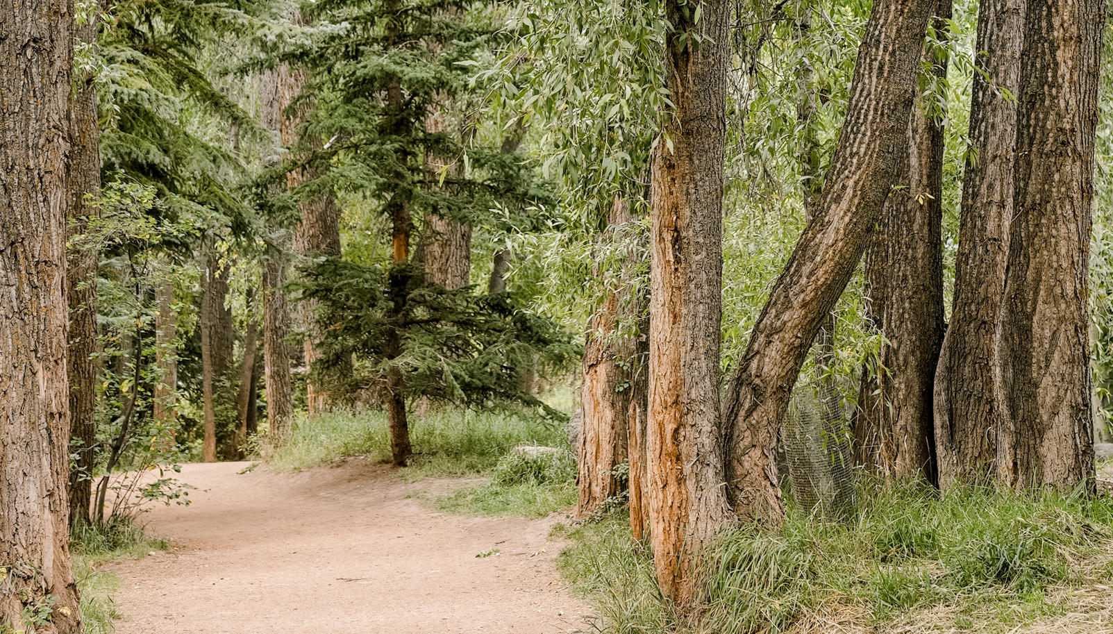 Colorado Trailhead Shuttle Services